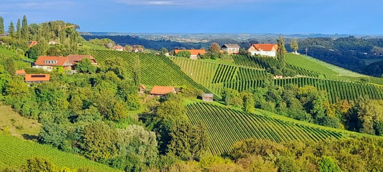 Glanz und Gloria: Tranquil Vineyard Apartment with Scenic Views Leutschach Exterior photo