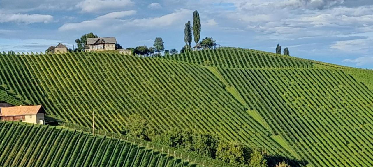 Glanz und Gloria: Tranquil Vineyard Apartment with Scenic Views Leutschach Exterior photo