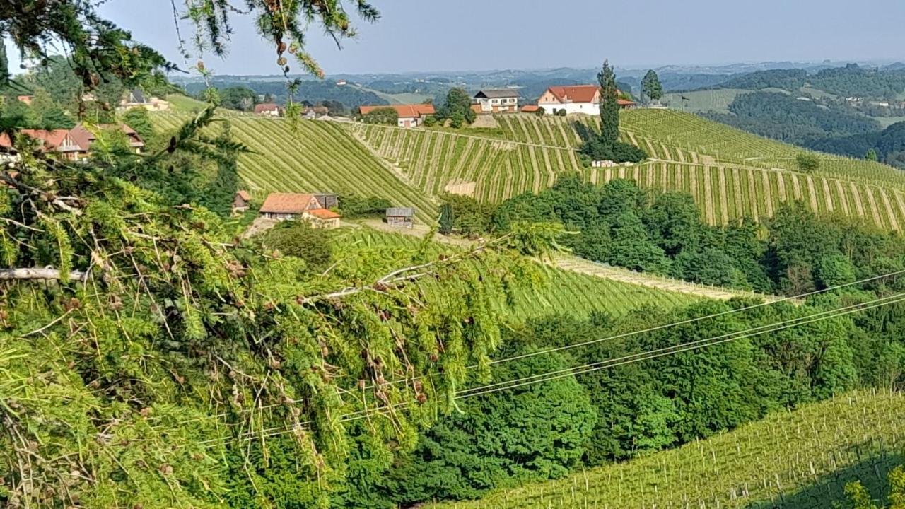 Glanz und Gloria: Tranquil Vineyard Apartment with Scenic Views Leutschach Exterior photo