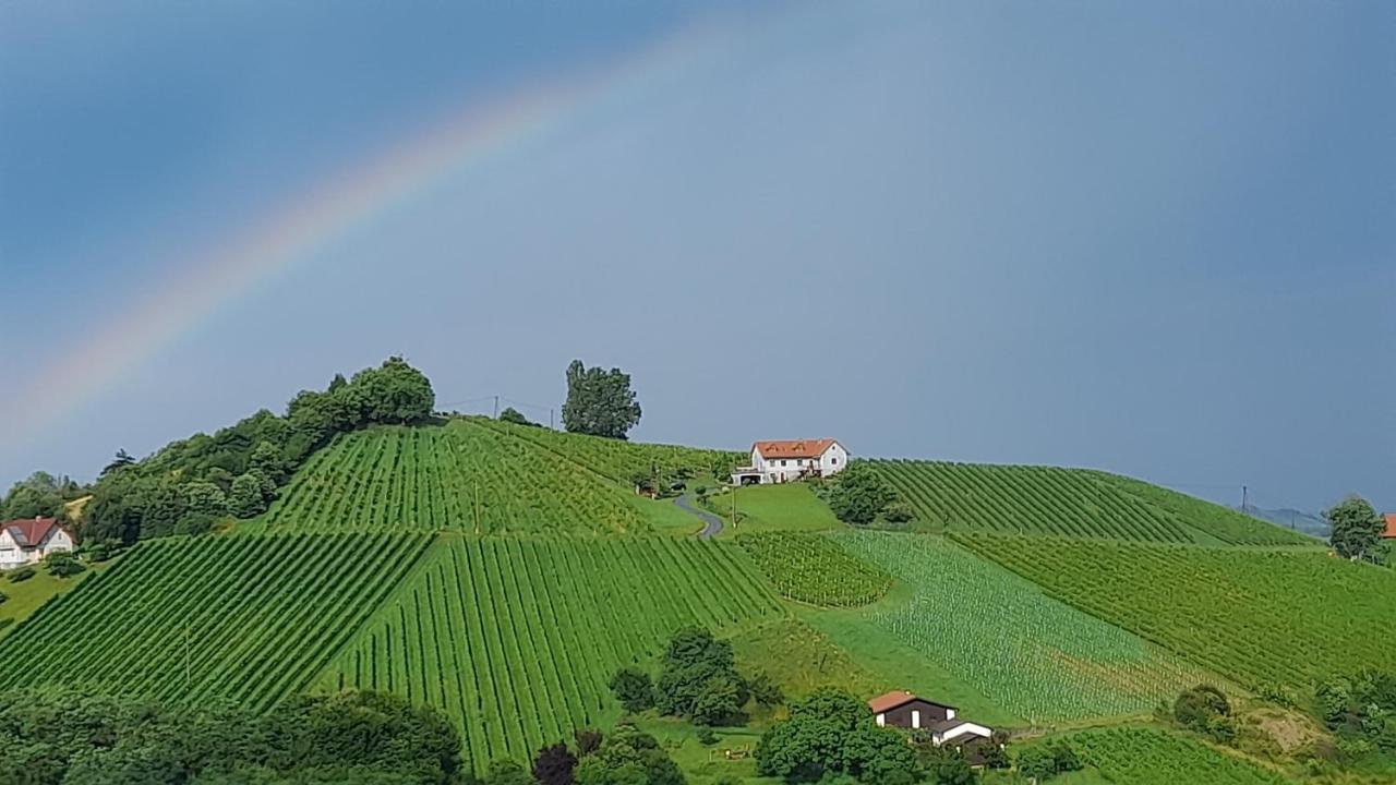 Glanz und Gloria: Tranquil Vineyard Apartment with Scenic Views Leutschach Exterior photo