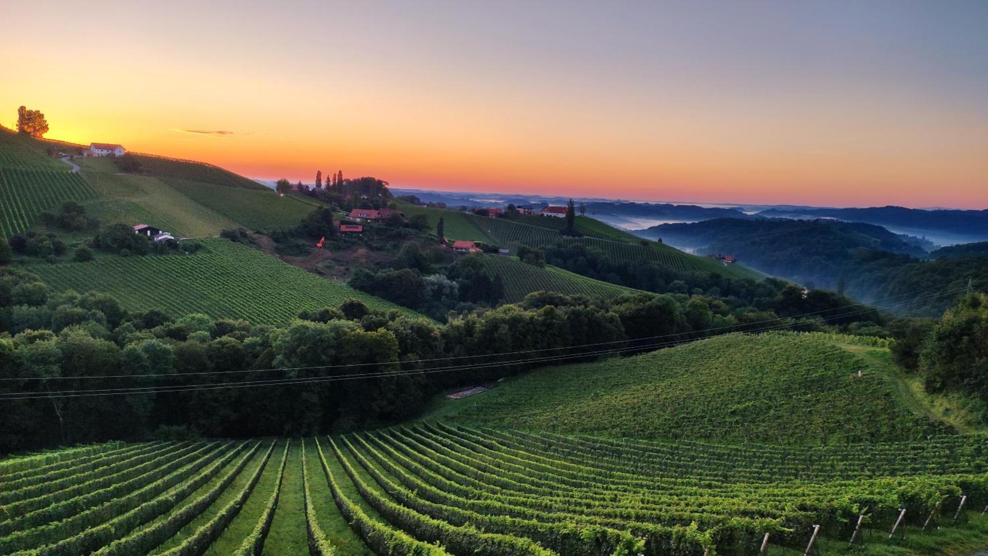 Glanz und Gloria: Tranquil Vineyard Apartment with Scenic Views Leutschach Exterior photo