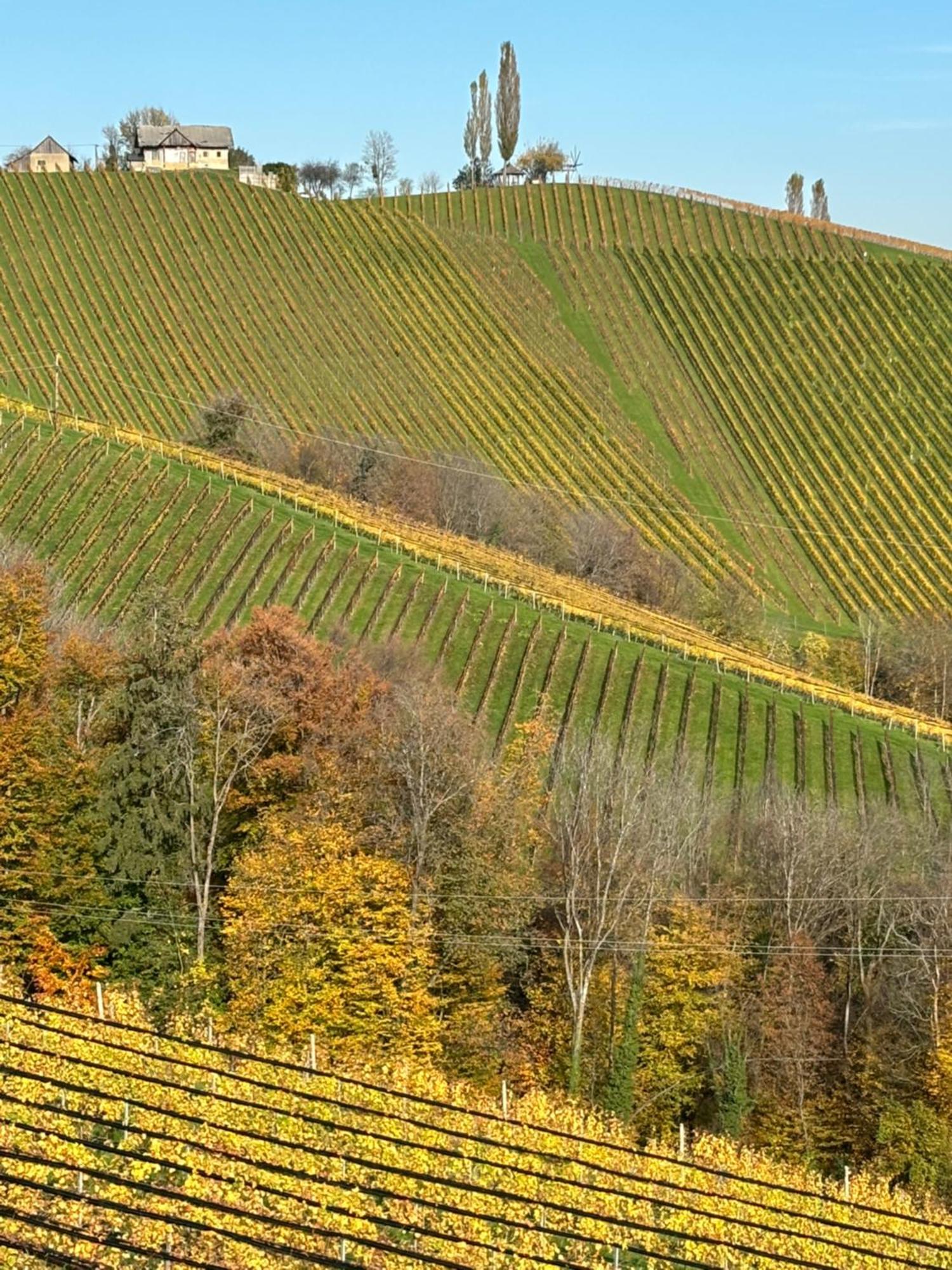 Glanz und Gloria: Tranquil Vineyard Apartment with Scenic Views Leutschach Exterior photo