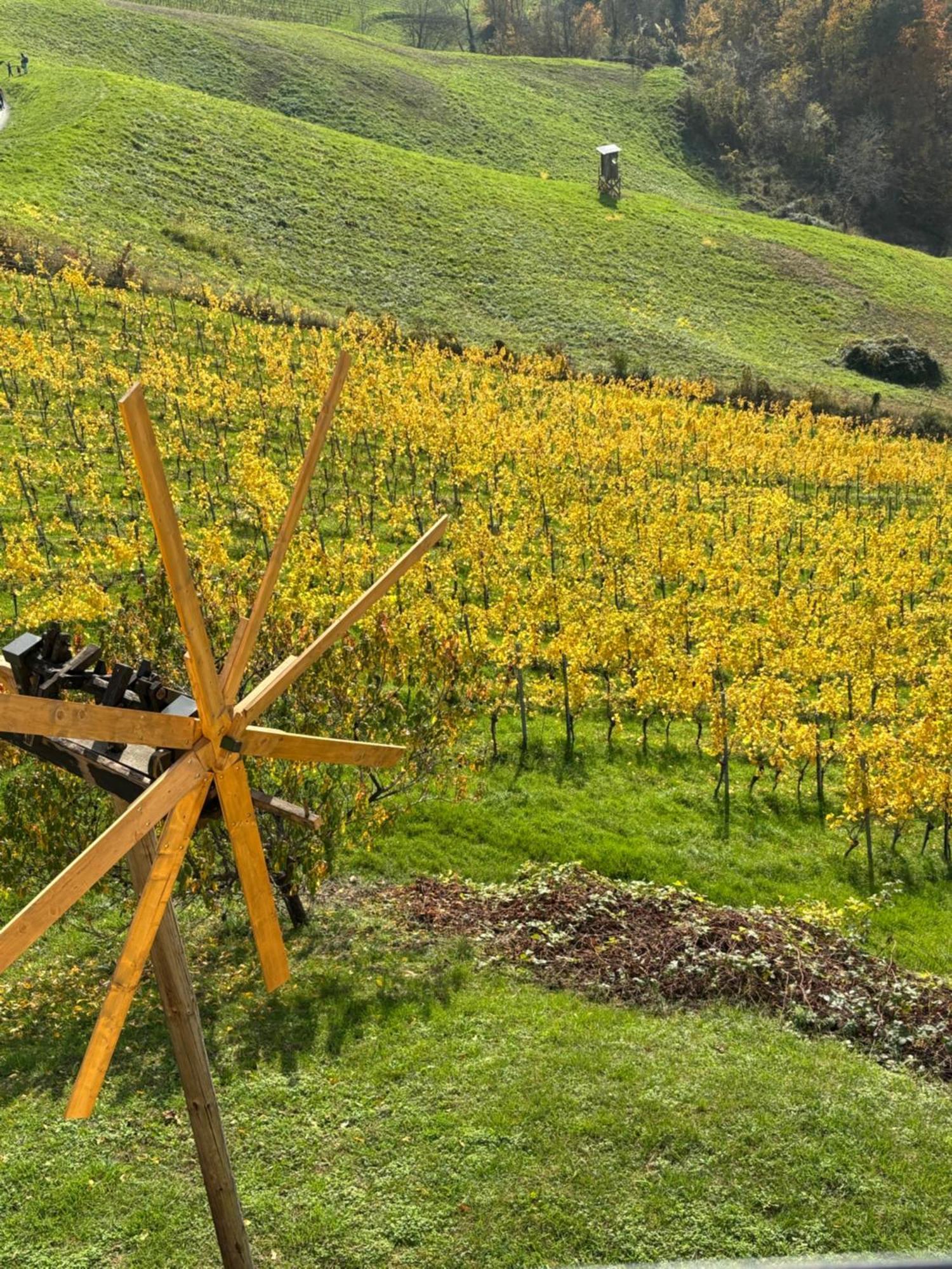 Glanz und Gloria: Tranquil Vineyard Apartment with Scenic Views Leutschach Exterior photo