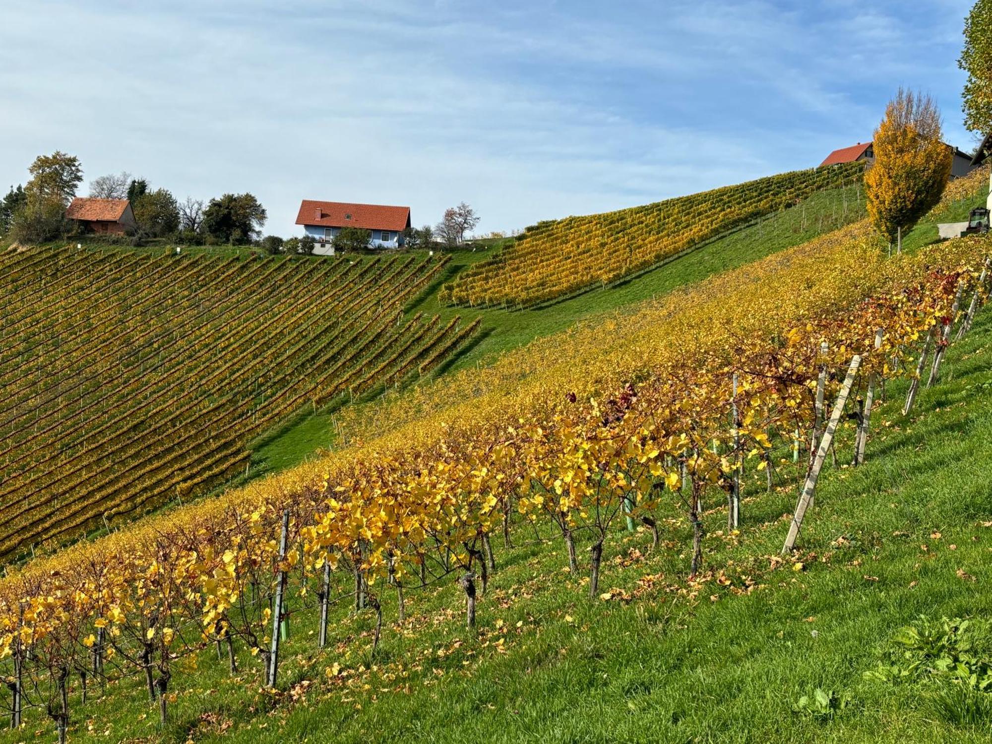 Glanz und Gloria: Tranquil Vineyard Apartment with Scenic Views Leutschach Exterior photo